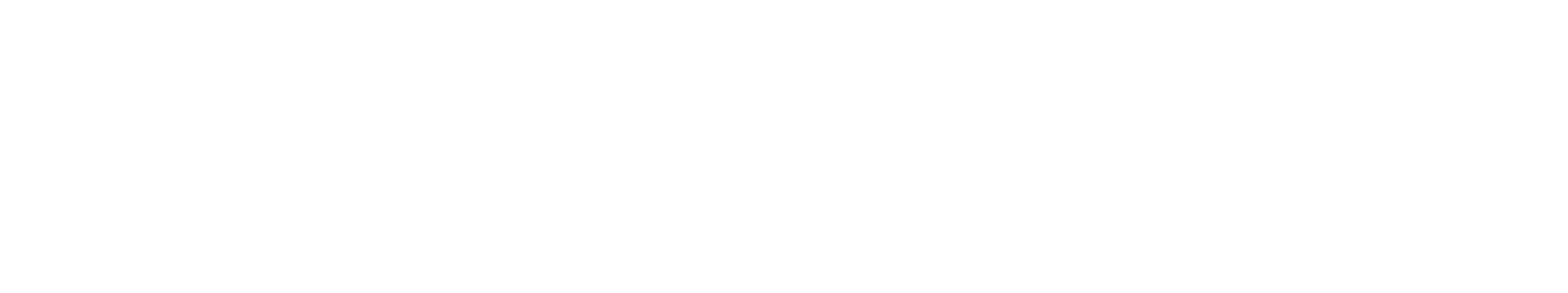 Speedlancer